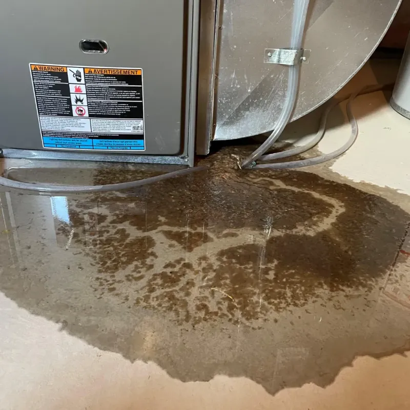 Appliance Leak Cleanup in Traverse County, MN